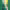 El Sacrificio de Zoro en Thriller Bark (Arco de Thriller Bark) cover