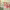 https://res.cloudinary.com/billionhands/image/upload/v1776824177/items/jw1jz1lpdfth6ls78dof.png-0cover