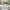 https://res.cloudinary.com/billionhands/image/upload/v1776831345/items/ploezq4tlwpb8krag1t1.jpg-2cover