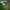 https://res.cloudinary.com/billionhands/image/upload/v1776831382/items/dv35rafoal1aq9mkuiod.webp-2cover