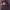 https://res.cloudinary.com/billionhands/image/upload/v1776835946/items/g6mfipultnf907gsdbl8.jpg-0cover