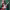 https://res.cloudinary.com/billionhands/image/upload/v1776835948/items/y0otk1vhlpzuqscxbhdu.jpg-2cover