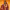 https://res.cloudinary.com/billionhands/image/upload/v1776835956/items/iuxrc86daazka0pppbbk.webp-3cover
