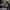 https://res.cloudinary.com/billionhands/image/upload/v1776843517/items/bw9pcx0ifplfzxcpszuf.jpg-1cover