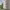 https://res.cloudinary.com/billionhands/image/upload/v1776848476/items/al4slkg3d7vcjdolu0ye.jpg-2cover