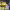 https://res.cloudinary.com/billionhands/image/upload/v1776848602/items/ykfmjvka2ygpnvzulvfy.jpg-3cover