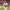 https://res.cloudinary.com/billionhands/image/upload/v1776848606/items/ermtc74r81p3tette0ns.avif-1cover