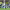 https://res.cloudinary.com/billionhands/image/upload/v1776848608/items/sfb1kd65wyaystepo8ra.jpg-3cover