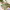 https://res.cloudinary.com/billionhands/image/upload/v1776855402/items/f7axwvdkrsphcpeqej8s.webp-1cover
