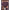 https://res.cloudinary.com/billionhands/image/upload/v1776856762/items/tm9wwyyym7vv4qce7y7v.webp-0cover