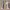 https://res.cloudinary.com/billionhands/image/upload/v1776856937/items/y1gbofqp2gsbil9qrzok.jpg-3cover