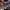 https://res.cloudinary.com/billionhands/image/upload/v1776857845/items/y7szn4c3uvrycocfwrmi.jpg-2cover