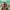 https://res.cloudinary.com/billionhands/image/upload/v1776860357/items/uys0zokl2oejorbwgg1k.jpg-1cover