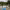 https://res.cloudinary.com/billionhands/image/upload/v1776861685/items/s5t0xwudr8tlv3ohfxlx.jpg-1cover