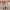 https://res.cloudinary.com/billionhands/image/upload/v1776861955/items/utdhc3ra5e5zv5takbfj.webp-3cover