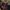 https://res.cloudinary.com/billionhands/image/upload/v1776862742/items/ow5gfajppmiyjceqlpru.webp-0cover