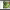 https://res.cloudinary.com/billionhands/image/upload/v1776866199/items/wjtgd1ksngosn1sh8yy1.png-2cover