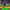 https://res.cloudinary.com/billionhands/image/upload/v1776868378/items/rhngrhfqfcja86kkxnzg.jpg-0cover