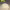 https://res.cloudinary.com/billionhands/image/upload/v1776870915/items/nhyijc3in0ne9cwmhvxm.jpg-0cover