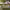 https://res.cloudinary.com/billionhands/image/upload/v1776872485/items/veokjoiarmapw9g9xouy.webp-1cover