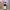 https://res.cloudinary.com/billionhands/image/upload/v1776874039/items/f6flrlqffa3pxmdu4dzo.jpg-2cover