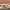 https://res.cloudinary.com/billionhands/image/upload/v1776874461/items/odpn9tm4vknp5lvp5nyq.jpg-0cover