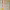 https://res.cloudinary.com/billionhands/image/upload/v1776876061/items/lvsz7067yyrgvmicbsnt.jpg-3cover