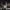 Sammy Virji – “Flight FM” (2024) cover