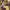 https://res.cloudinary.com/billionhands/image/upload/v1776878874/items/wyj3pyxwk7gisi7yb1cu.png-3cover