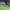 https://res.cloudinary.com/billionhands/image/upload/v1776881640/items/qu6n04lg0smfwdekrgyr.avif-0cover