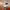 https://res.cloudinary.com/billionhands/image/upload/v1776888401/items/npva0zgedqoakhdjpil3.jpg-3cover