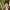 https://res.cloudinary.com/billionhands/image/upload/v1776891259/items/rkqi9ngx7mgxpyk2mbzp.jpg-3cover