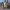 https://res.cloudinary.com/billionhands/image/upload/v1776891280/items/pr9xywce79hcqbbug7bm.jpg-0cover