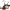 https://res.cloudinary.com/billionhands/image/upload/v1776892935/items/ytaggaehupgpmipiyzct.png-2cover