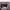 https://res.cloudinary.com/billionhands/image/upload/v1776893886/items/enlogmgayv0pk3j1epja.jpg-0cover