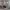 https://res.cloudinary.com/billionhands/image/upload/v1776893889/items/py2azbf5m9mhdgy2knbx.webp-2cover