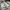 https://res.cloudinary.com/billionhands/image/upload/v1776893897/items/qgqifyixkymtqd0vnghq.jpg-3cover