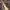 https://res.cloudinary.com/billionhands/image/upload/v1776895379/items/eurym41ihbipnuchrea1.jpg-1cover