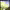 https://res.cloudinary.com/billionhands/image/upload/v1776895379/items/nqutdxxfbc4mdh9jiua5.jpg-1cover