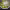 https://res.cloudinary.com/billionhands/image/upload/v1776901515/items/dxw4jih57incsrog0njv.jpg-2cover
