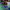 https://res.cloudinary.com/billionhands/image/upload/v1776903298/items/gu8vr6bgghqmm7nyhetg.jpg-0cover