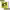 https://res.cloudinary.com/billionhands/image/upload/v1776903711/items/csb9ad6afql0twblg2ae.webp-2cover