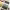 https://res.cloudinary.com/billionhands/image/upload/v1776911905/items/kyne1jbzcbb4bvp8tmx4.webp-2cover