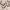 https://res.cloudinary.com/billionhands/image/upload/v1776911905/items/tltspytv1iwrvciei7sj.webp-3cover