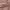 https://res.cloudinary.com/billionhands/image/upload/v1776911910/items/aktjth4nwjnjz7h5pe2t.jpg-3cover