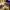 https://res.cloudinary.com/billionhands/image/upload/v1776912257/items/fa1d1r3cue3fd8adwz92.jpg-2cover