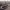 https://res.cloudinary.com/billionhands/image/upload/v1776917349/items/vpga8zd4qwpbjesibuyv.webp-2cover