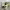 https://res.cloudinary.com/billionhands/image/upload/v1776919202/items/j8ynutlrvmizmhxpyn64.jpg-3cover