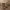 https://res.cloudinary.com/billionhands/image/upload/v1776921077/items/woasctst2fo6rt4pfvny.jpg-2cover