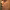 Pieces of a Woman (2020) cover